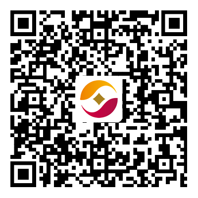 ��֧�е�ַ����ϵ��ʽ