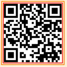 ӦƸ������