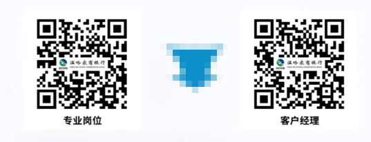 ������ʽ