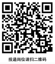 ������ʽ